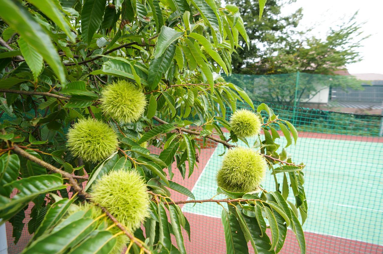 ホテル 白馬メルヘンハウス 白馬村 エクステリア 写真